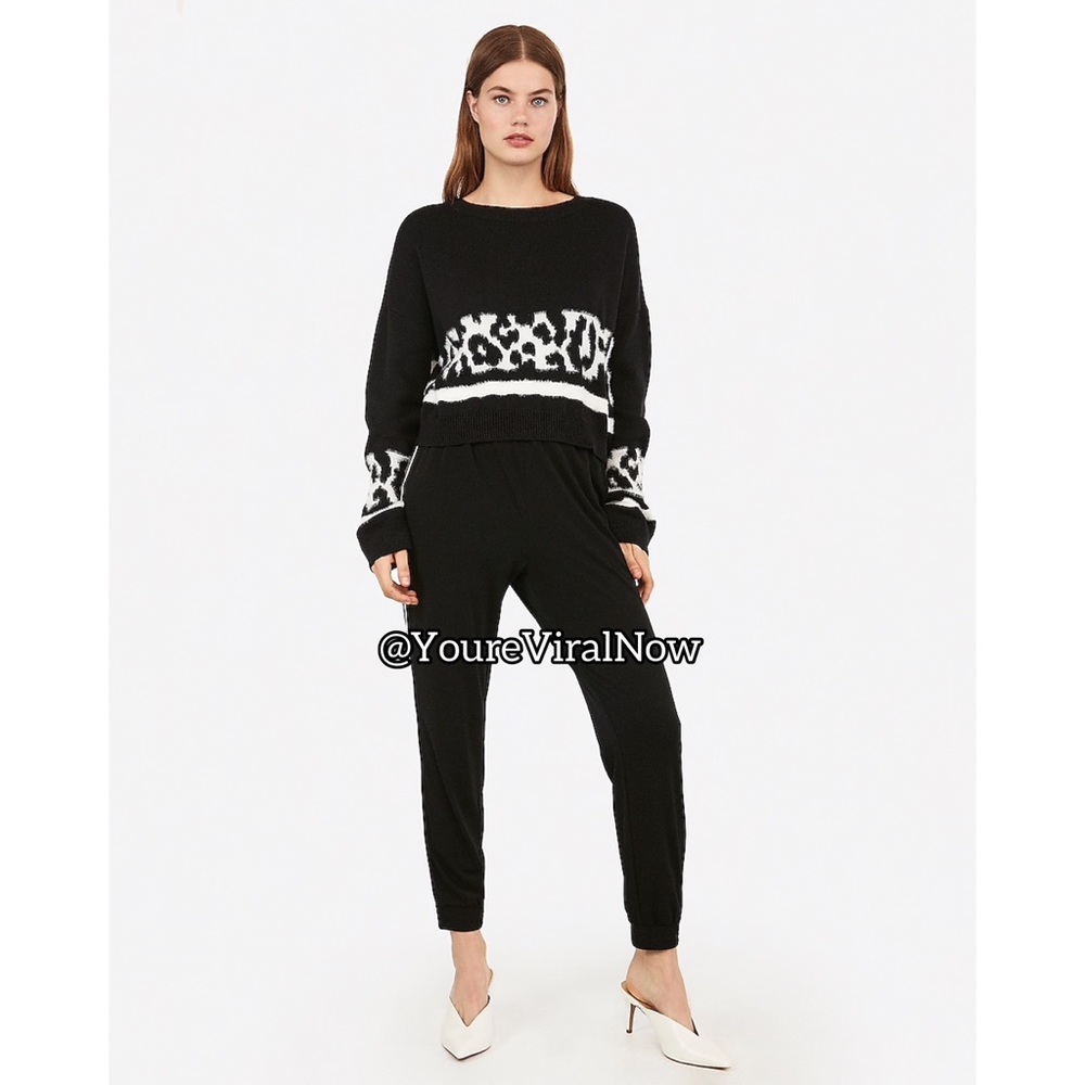Animal Print Stripe Cropped Sweater - Picture 2 of 3